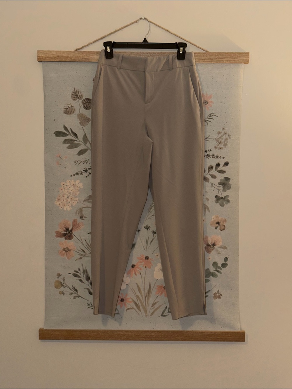 Avia Straight-Leg Ankle Pants in Taupe